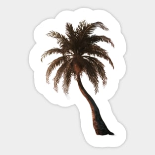 A Single Palm Tree Sticker